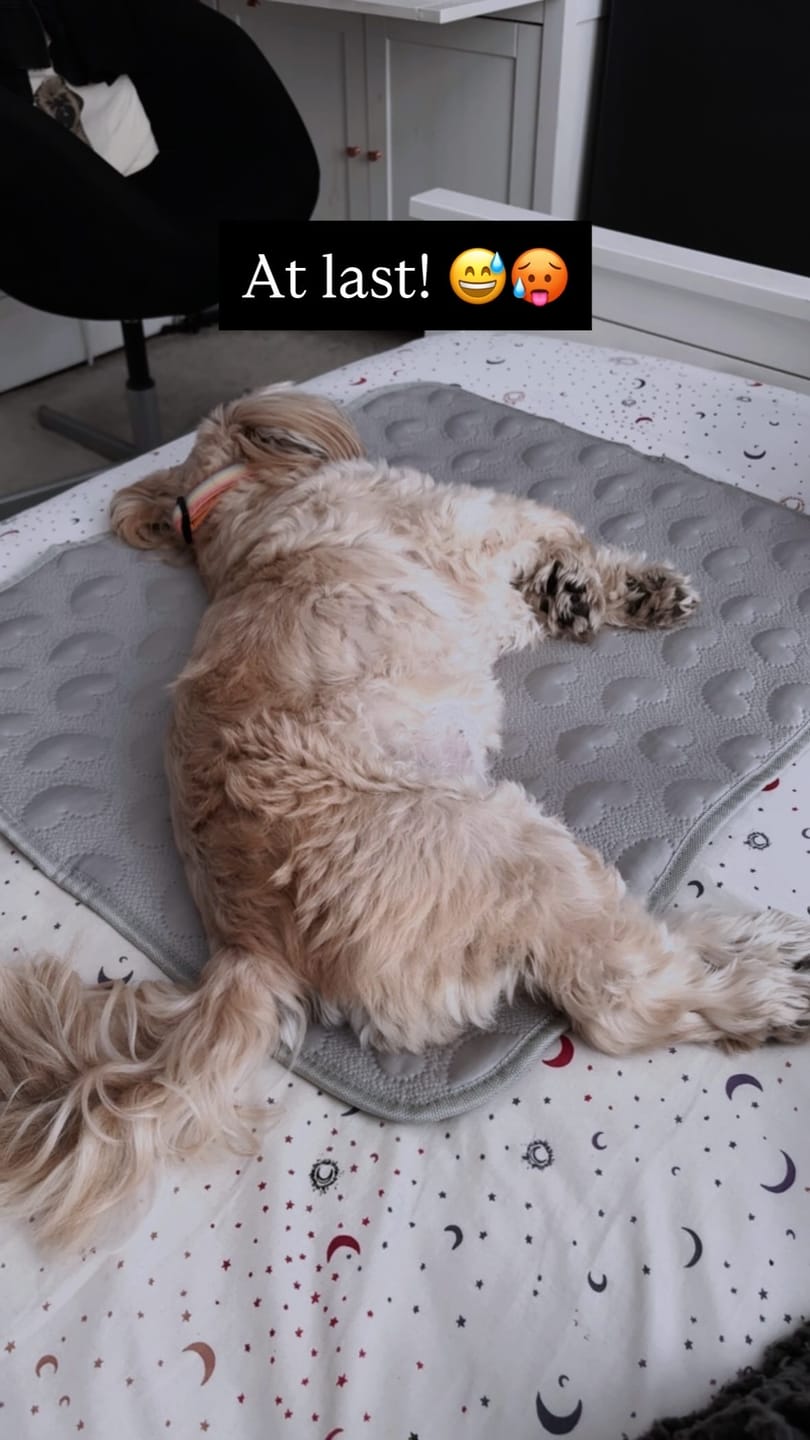Customer photo review of Frostcore™ Cooling Mat - Hearts Grey
