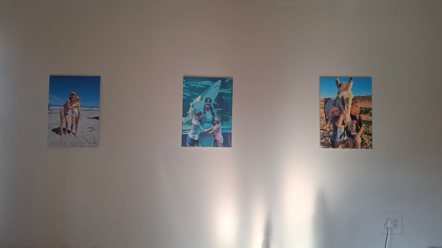 Customer photo review of 3 x A3 Canvas Combo
