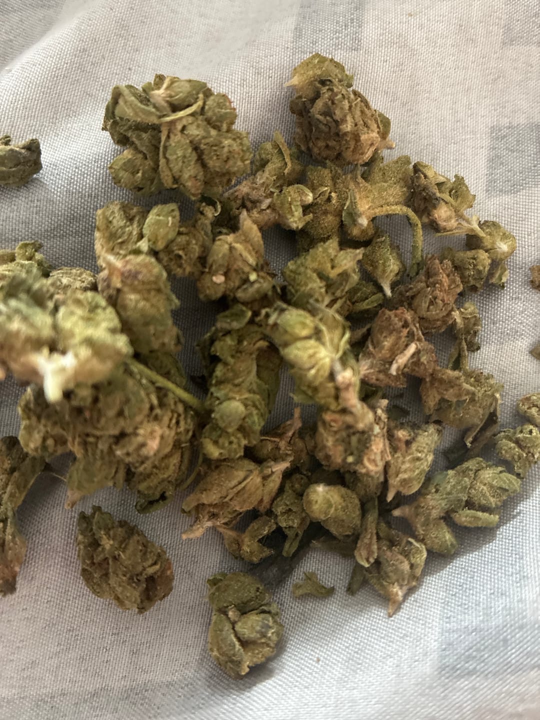 Customer photo review of Chem Dawg - Minis - 28 Grams - Hybrid