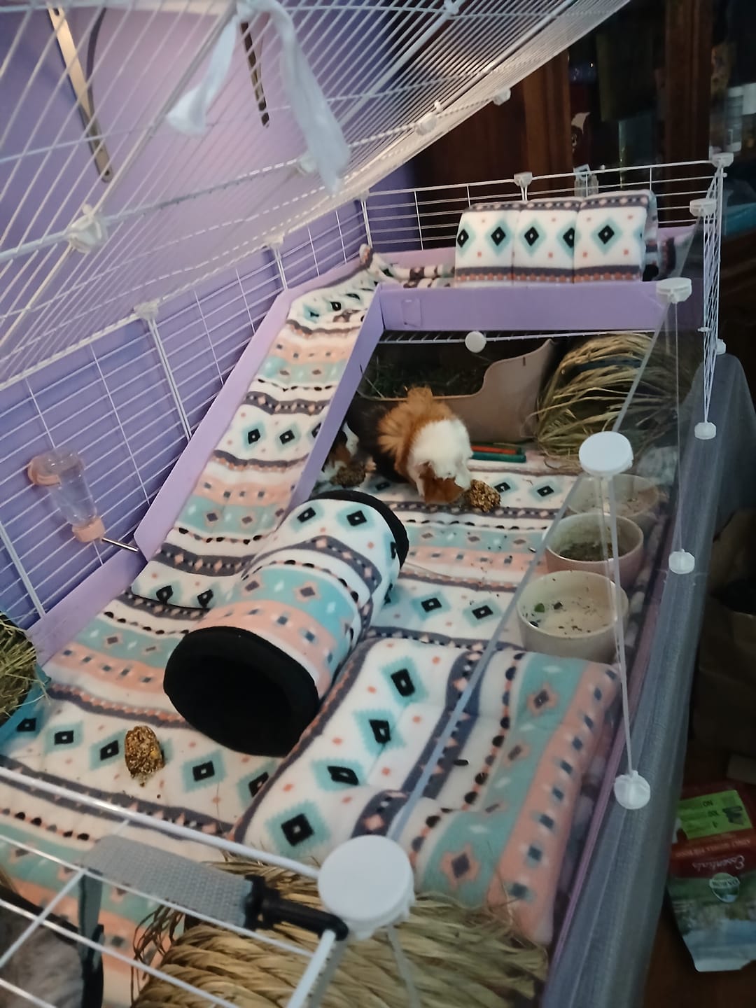 Customer photo review of The Kavee C&C Habitat - 5x2