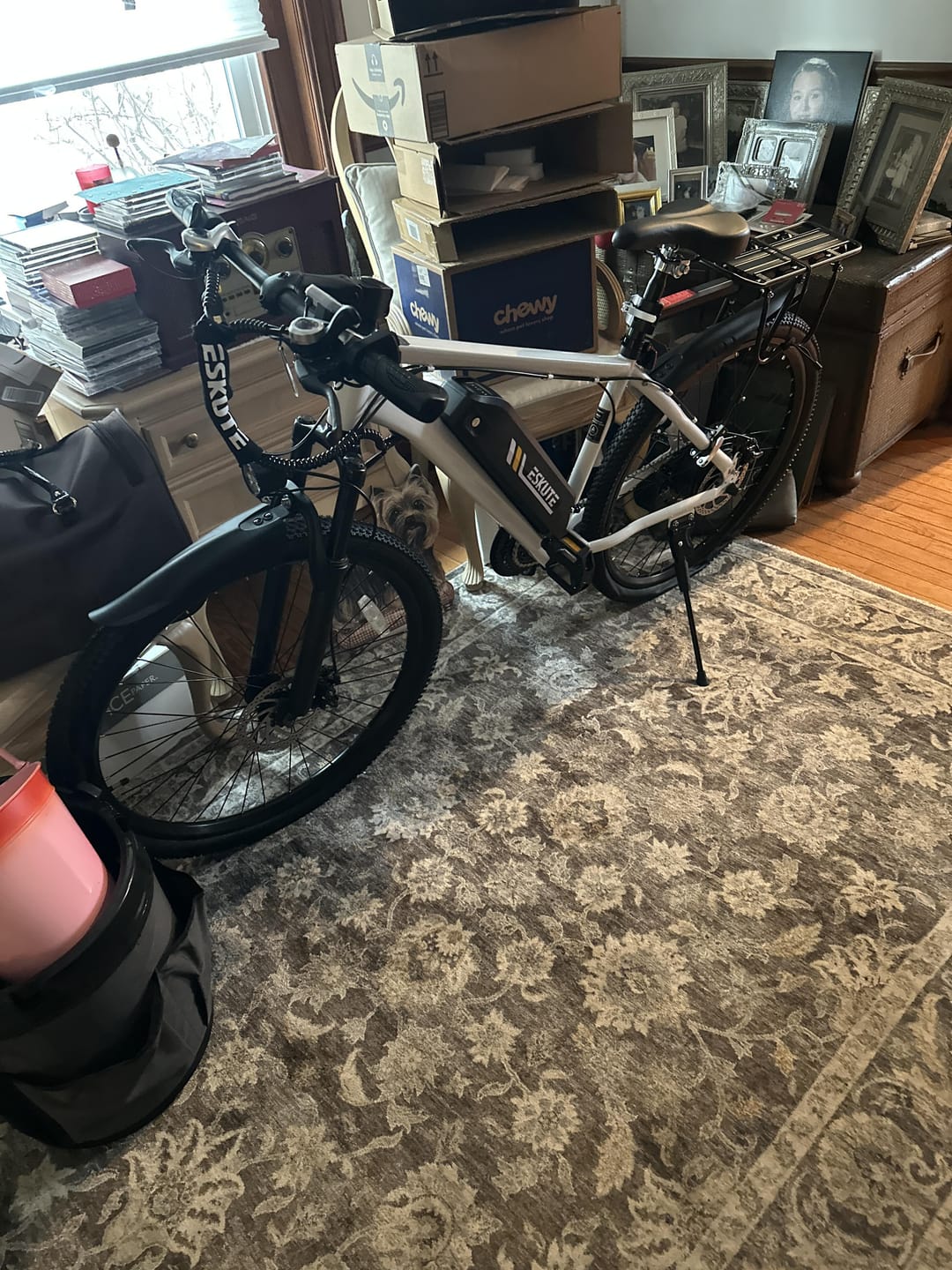 Customer photo review of Eskute® M200 27.5" Mountain Electric Bike