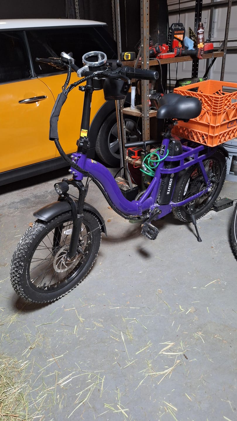 Customer photo review of Eskute® D200 Folding Electric Bike for Adults
