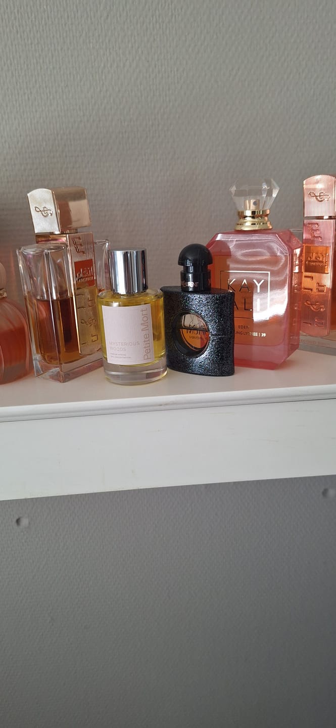 Customer photo review of Mysterious Woods