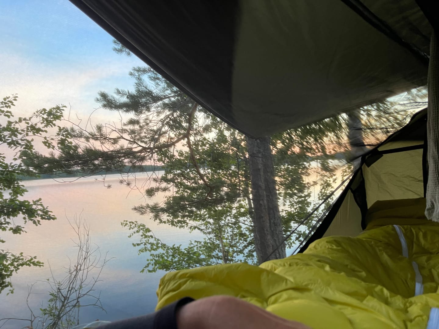 Customer photo review of Haven XL