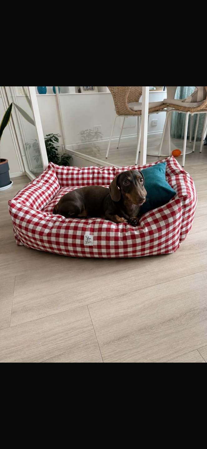 Customer photo review of Divanetto Cotone Quadretto Rosso