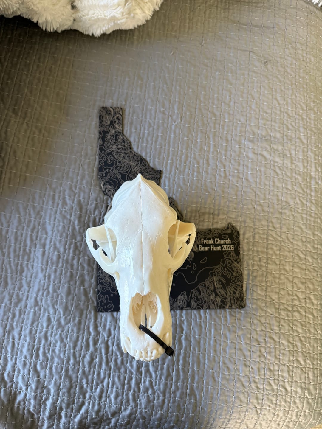 Customer photo review of Medium Game Plaques