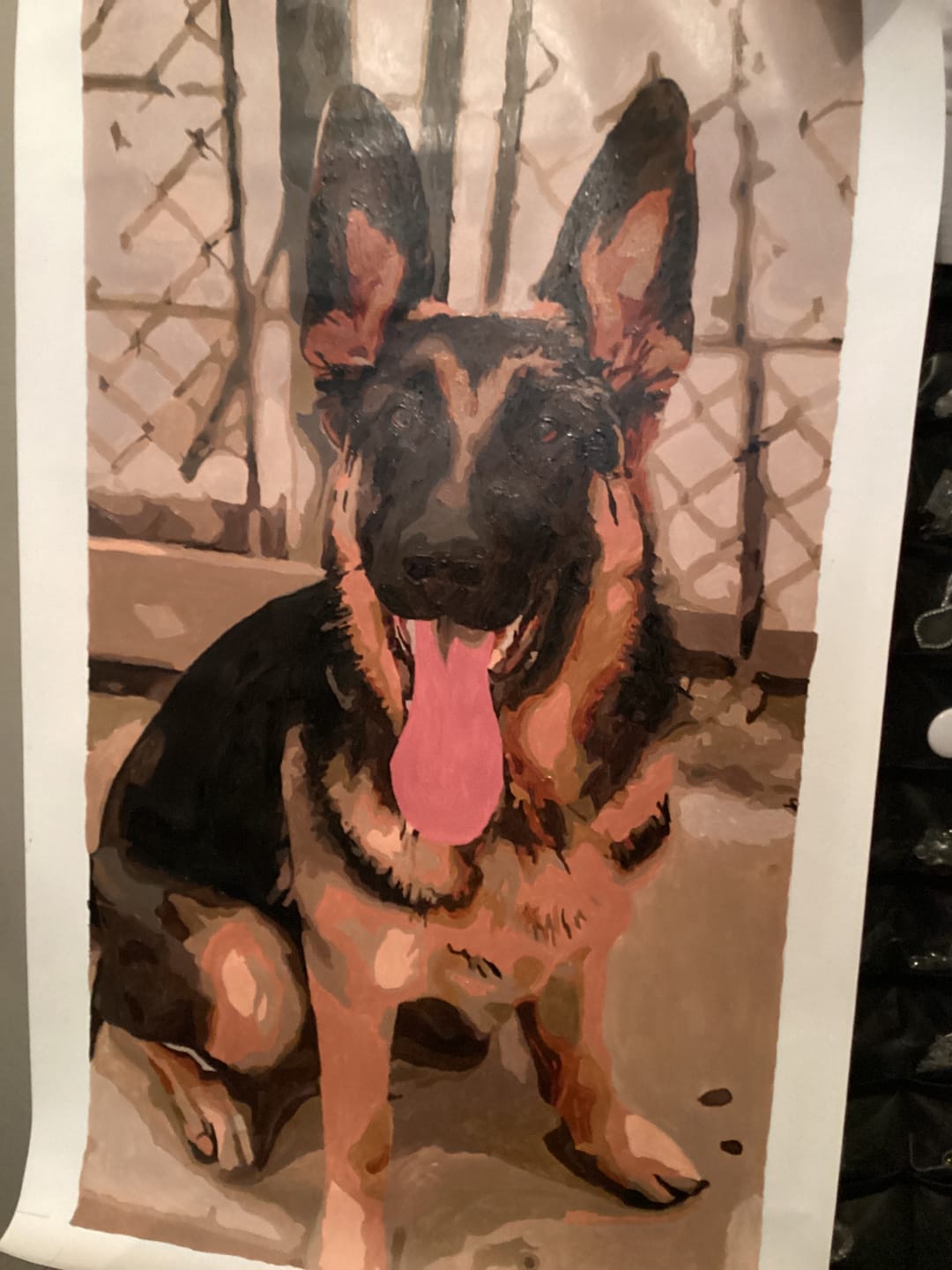 Customer photo review of Paint by Numbers Custom Kit