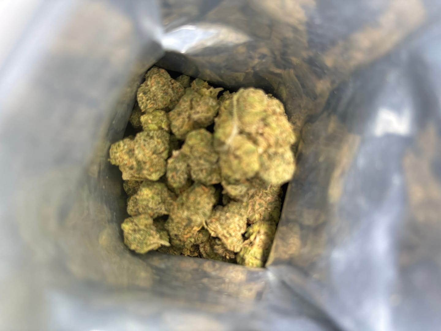 Customer photo review of Zkittlez THCA Flower (Budget)