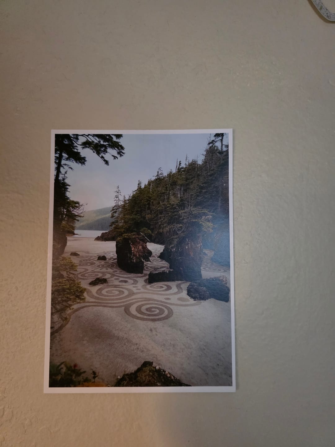 Customer photo review of LiveForLetters June