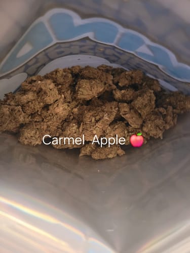 Caramel Apple - Großgebinde - Hybrid photo review