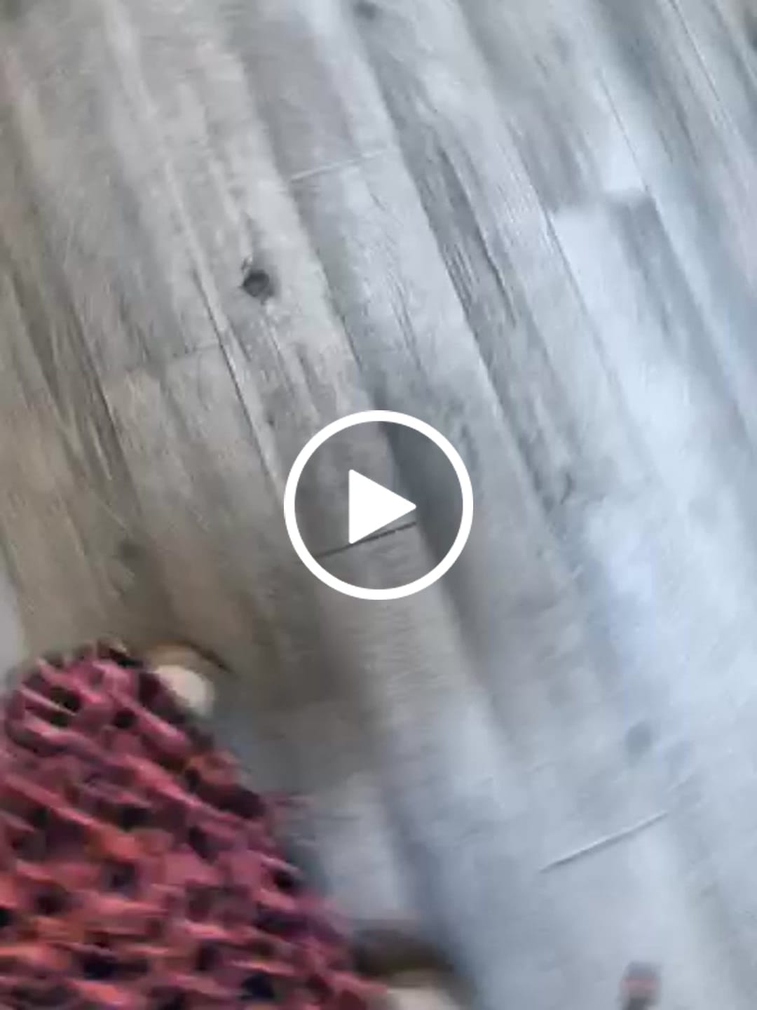 Customer video review of Hareball - Wide Toe Sneakers