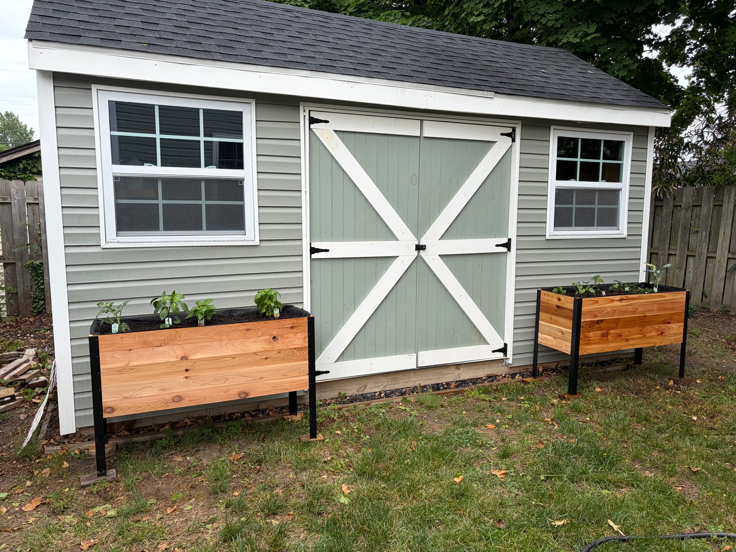 Customer photo review of 18" x 48" Raised Garden Bed - 30" TALL / Garden Grade