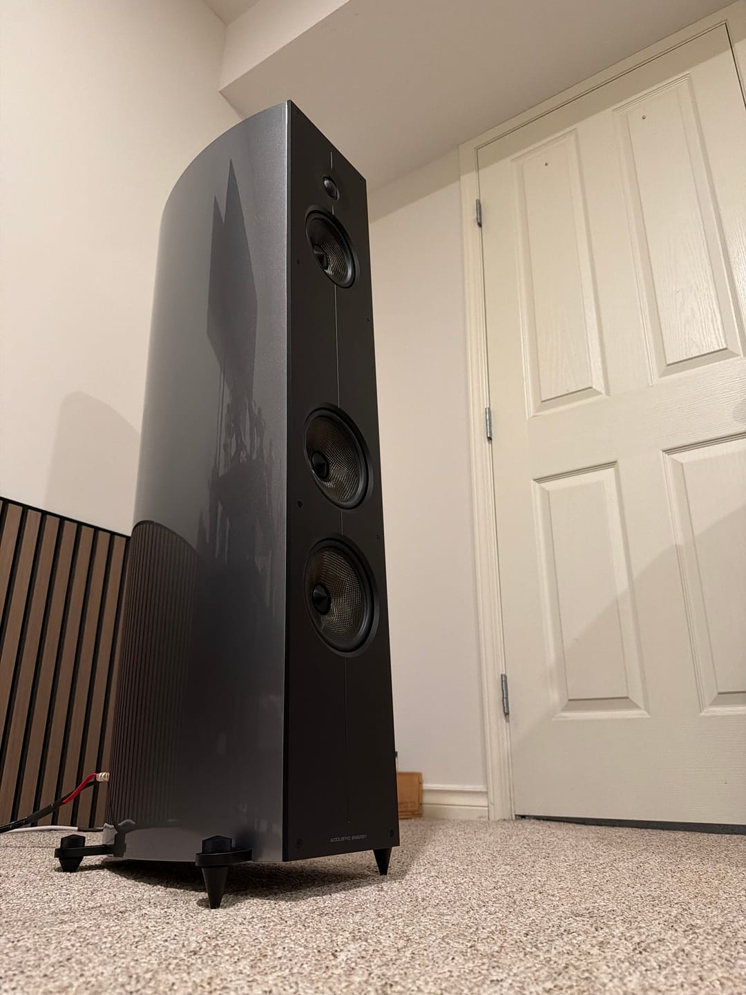 Customer photo review of Acoustic Energy Corinium Tower Speaker