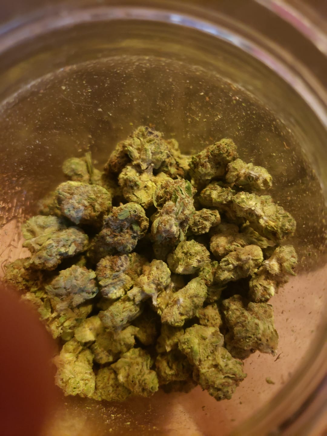 Customer photo review of Blueberry Muffins Minis - Bulk Minis - Indica