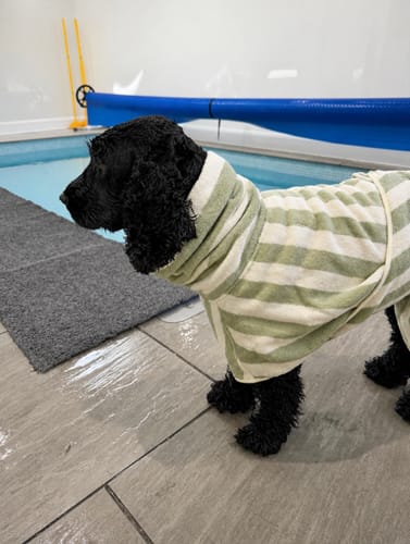Customer photo review of Matcha Stripe | The Cosy Cloak Drying Robe
