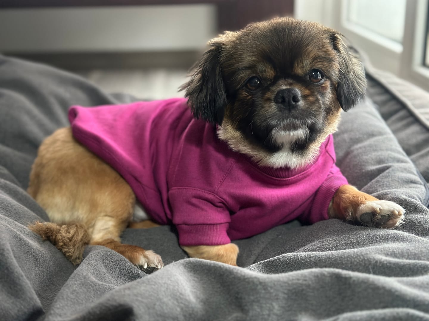 Customer photo review of Poleron Altitud Magenta