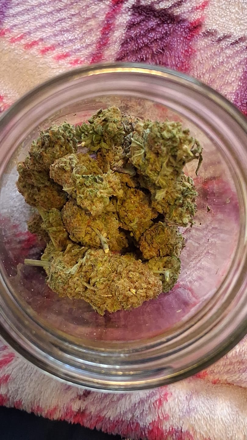 Customer photo review of Blue Dream - Minis - 14 Grams - Sativa