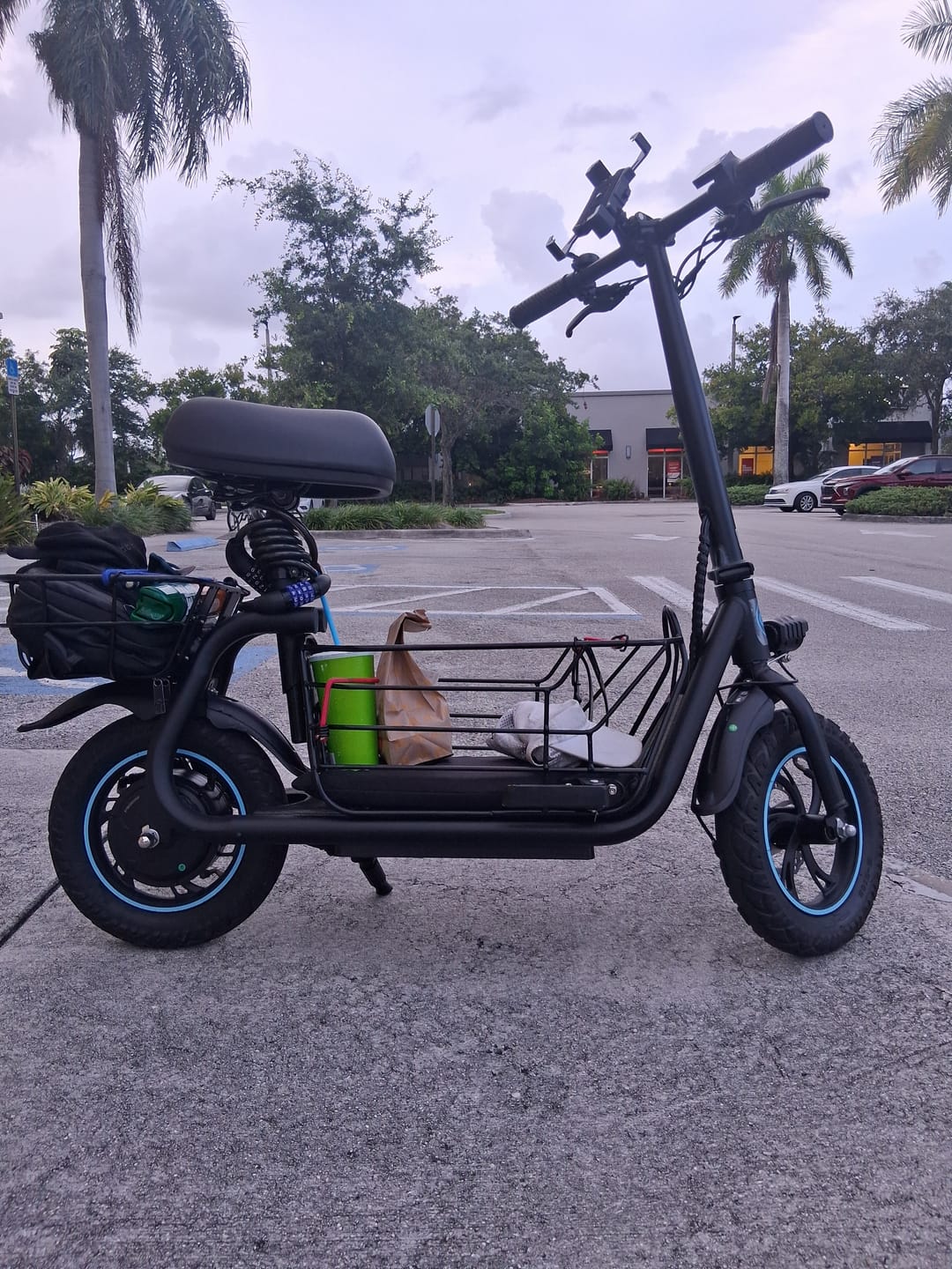 Customer photo review of Gyroor C1S Electric Scooter – 800W(Peak),Front & Rear Baskets