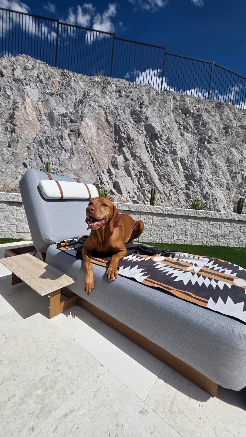 Customer photo review of Solaris Outdoor Chaise Lounge