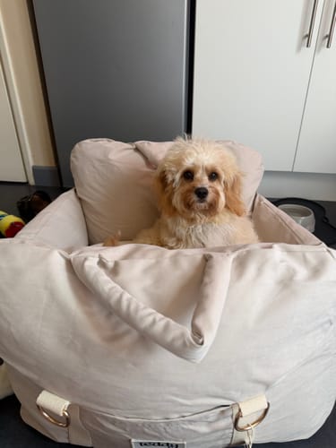 Customer photo review of Marshmallow | The Puffer Car Seat