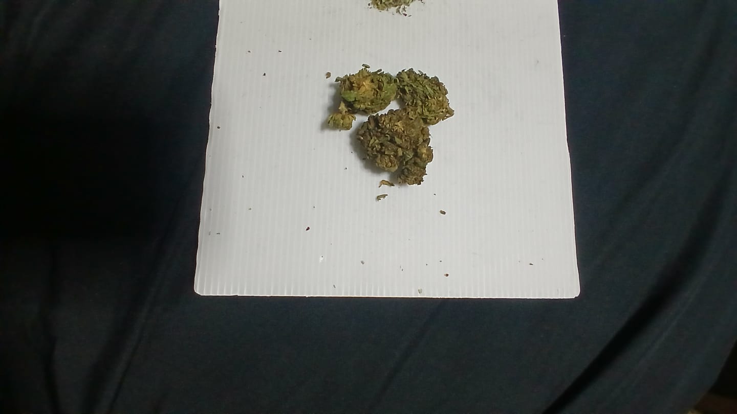 Customer photo review of White Widow - 28 Grams – Hybrid