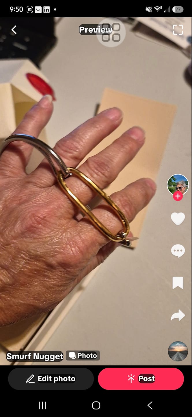 Customer photo review of Elysium Link