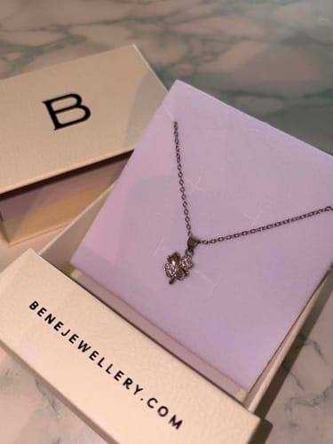Customer photo review of FREE Gift Box + Silver Polishing Cloth (Worth RM24.90)
