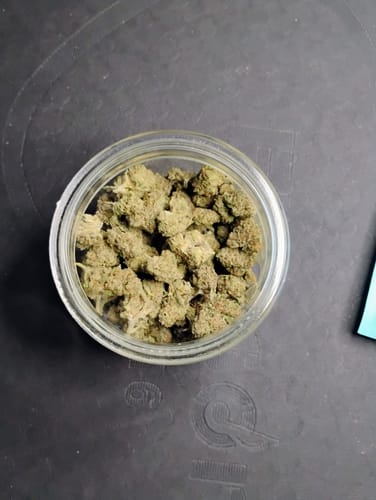 Customer photo review of Gary Payton THCA Flower