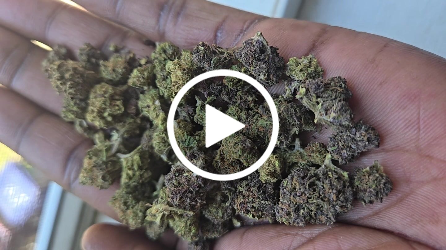 Customer video review of Pop Cherry - Littles - 28 Grams - Sativa