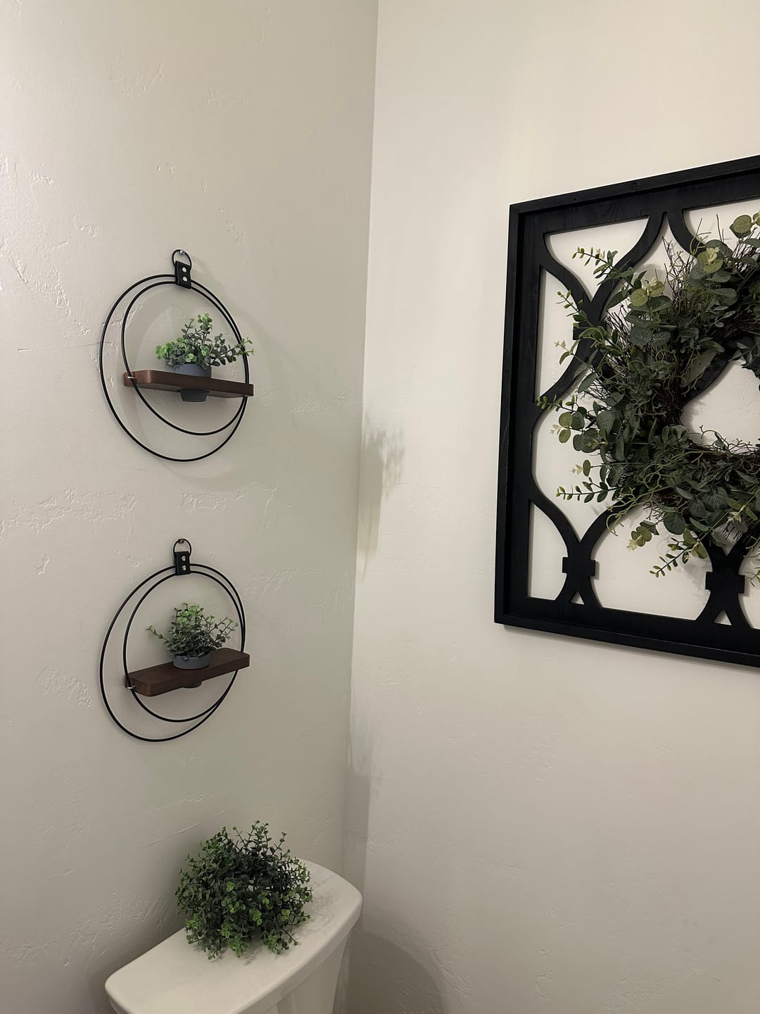 Customer photo review of Air Plant Shelf + Pot Duo