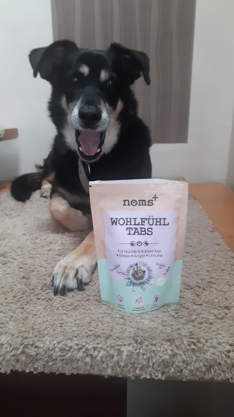 Customer photo review of Wohlfühltabs für Hunde bei Stress, Angst, Unruhe und Hyperaktivität