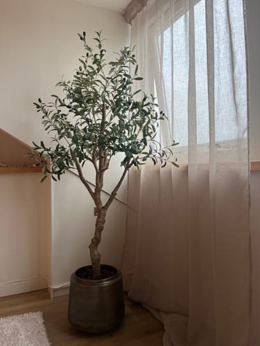 Customer photo review of Kunst Olijfboom 150cm (lichte stam)