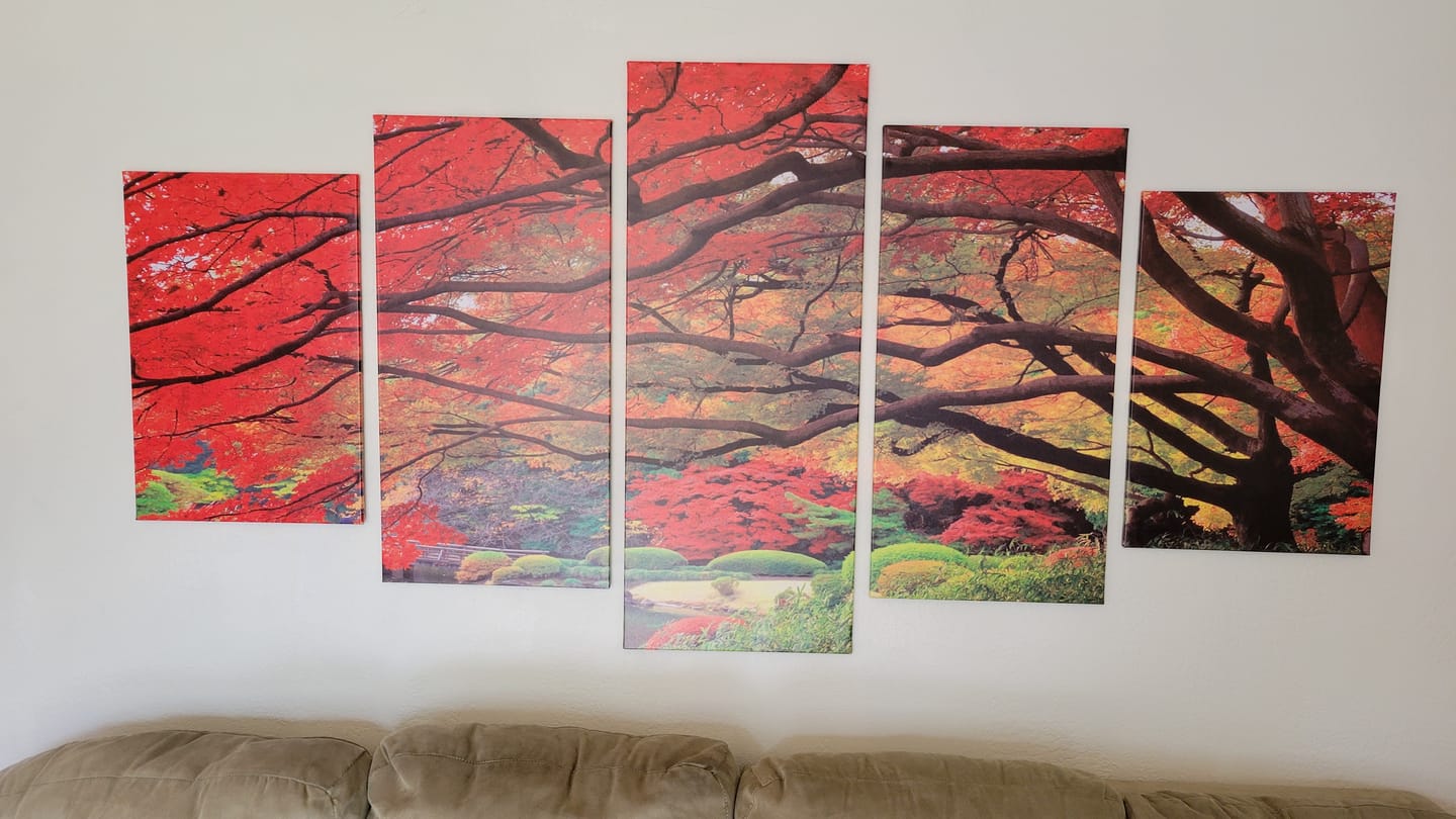 Customer photo review of Vibrant Japanese Maple Canopy in Autumn Colors 5 Panel Canvas Print Wall Art