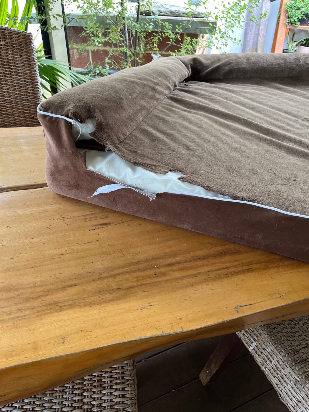 Customer photo review of Orthopedic Dog Bed with Memory Foam Cushion - Washable Cover