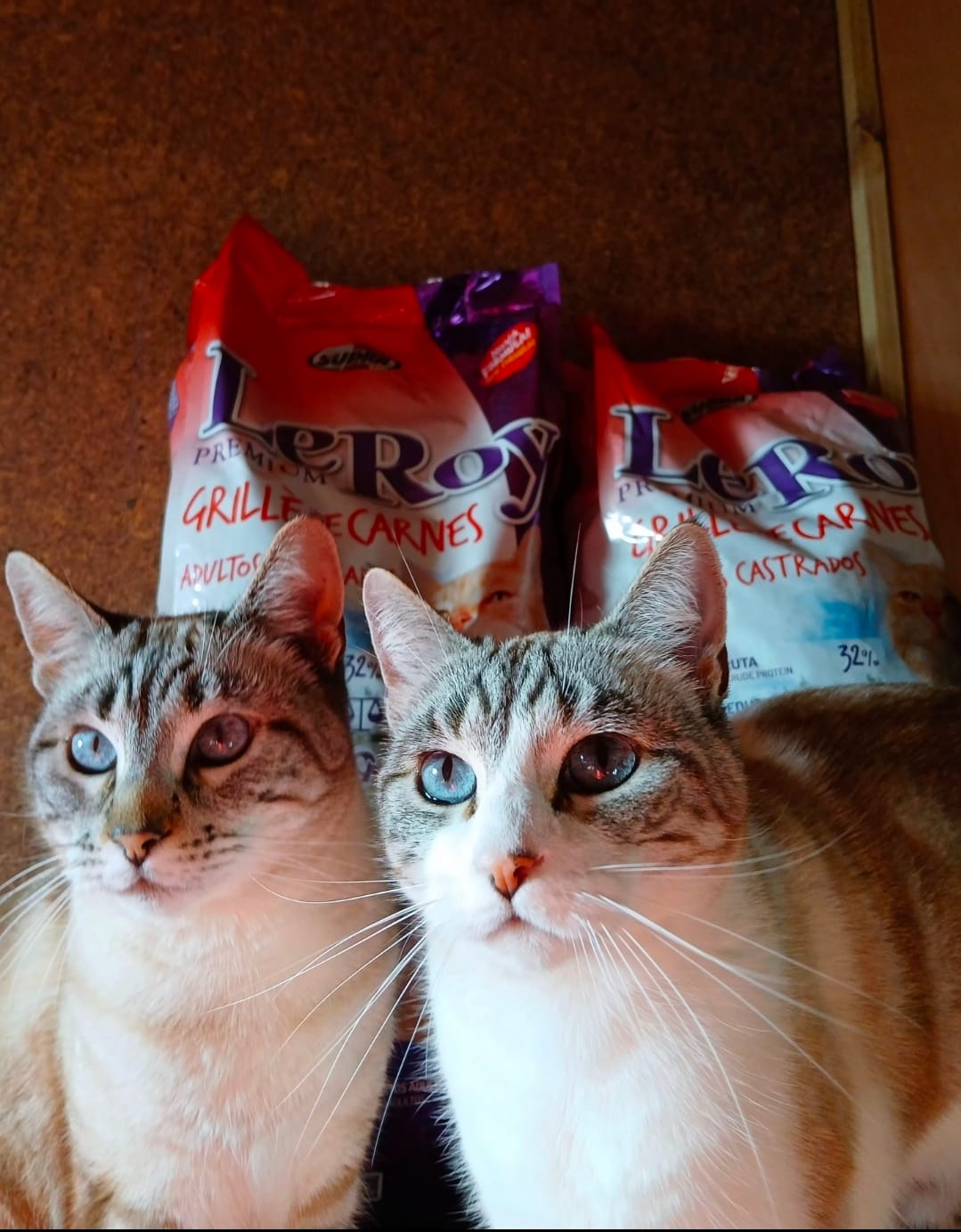 Customer photo review of LEROY GRILLÉ DE CARNES GATO CASTRADO 10,1 KG