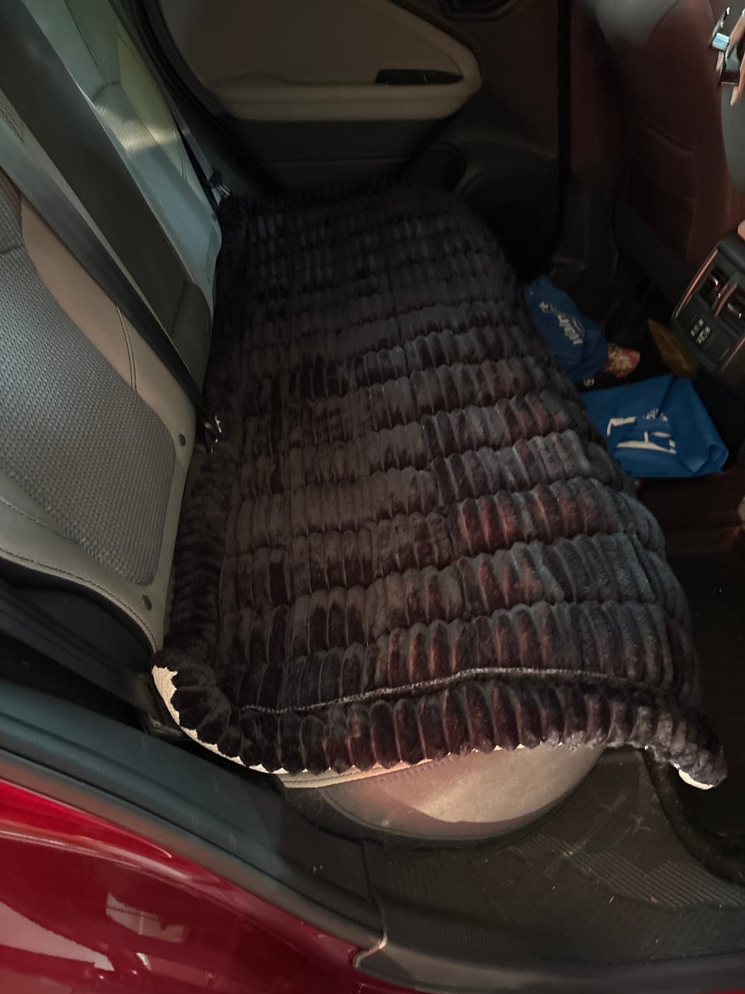 Customer photo review of Thickened Dog Bed for Car Back Seat & Couch