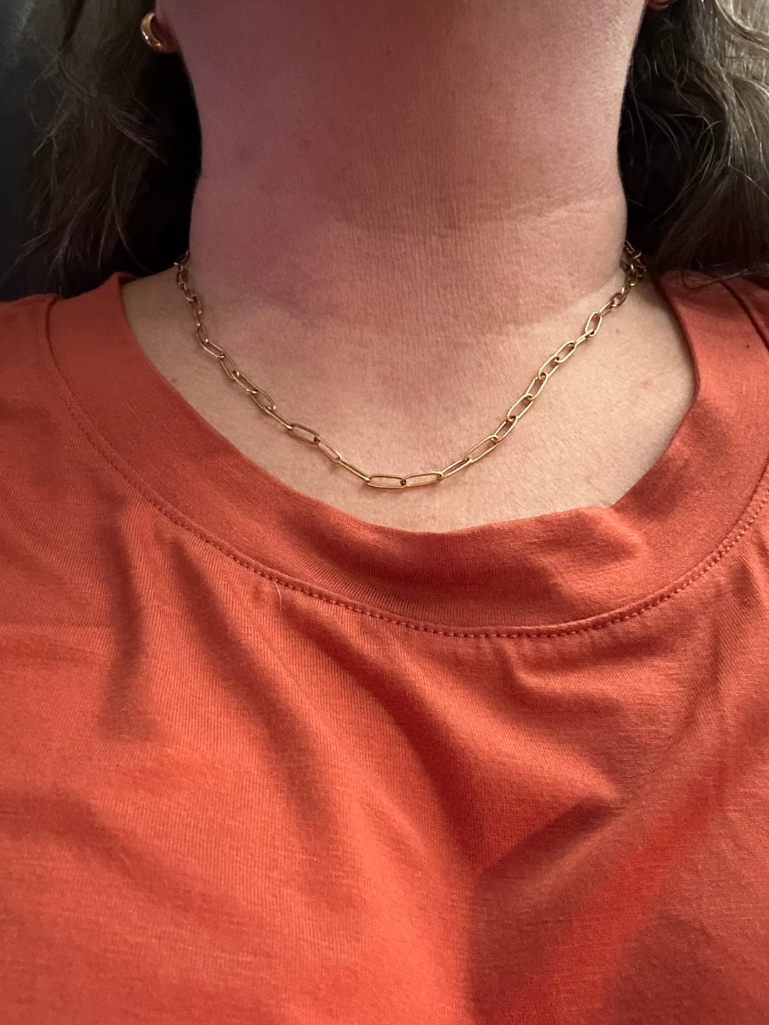 Customer photo review of Maui Paperclip Necklace
