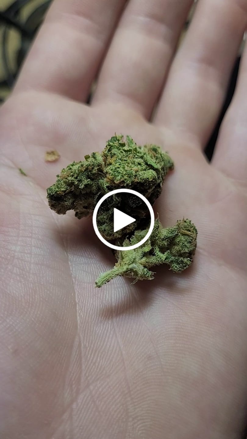 Customer video review of Purple Push Pop -THCa Flower