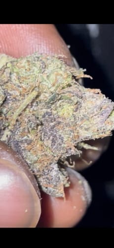 Customer photo review of Dank Dynasty Exotic THCA Flower
