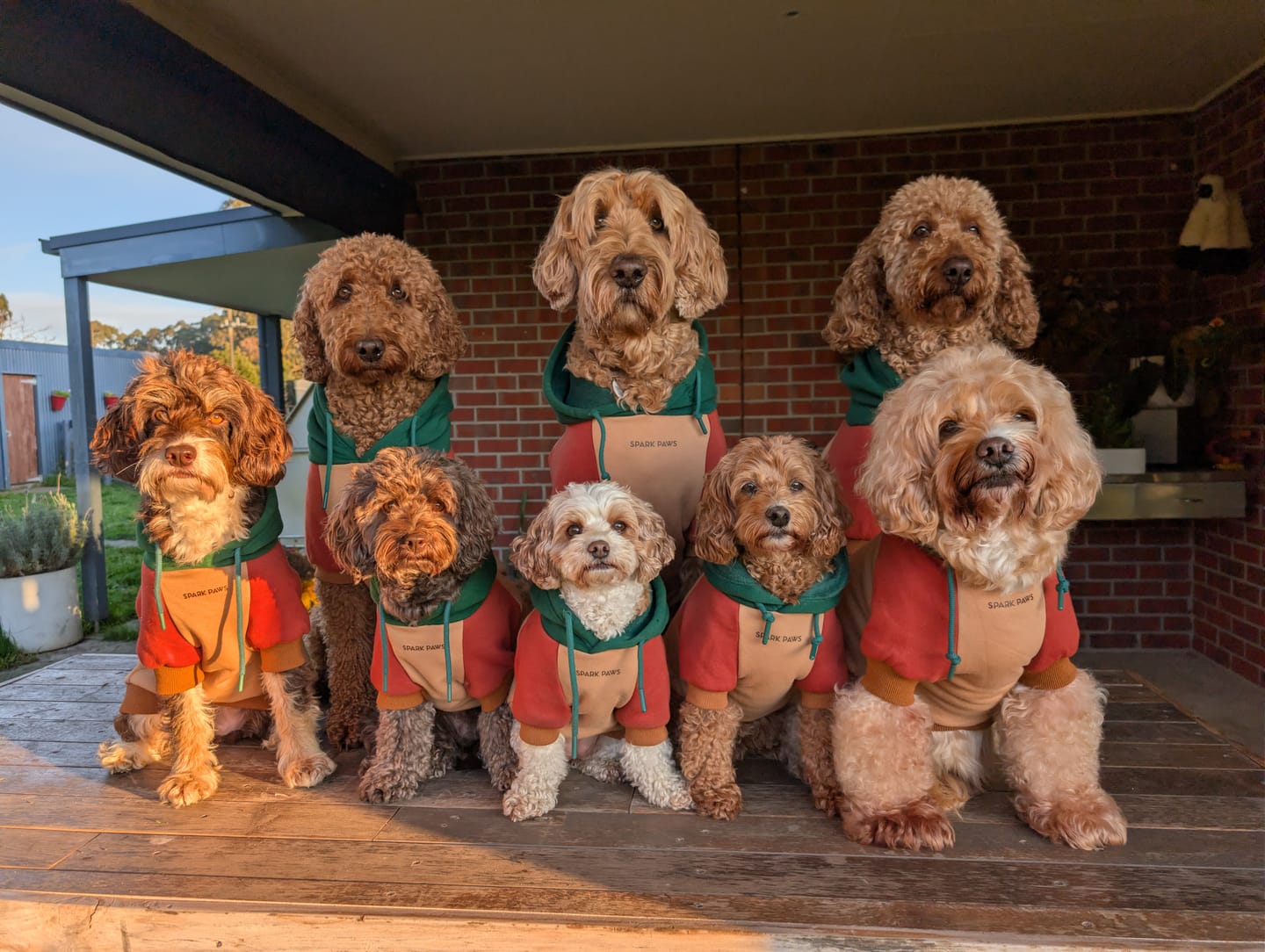 Customer photo review of Ranger Dog Hoodie