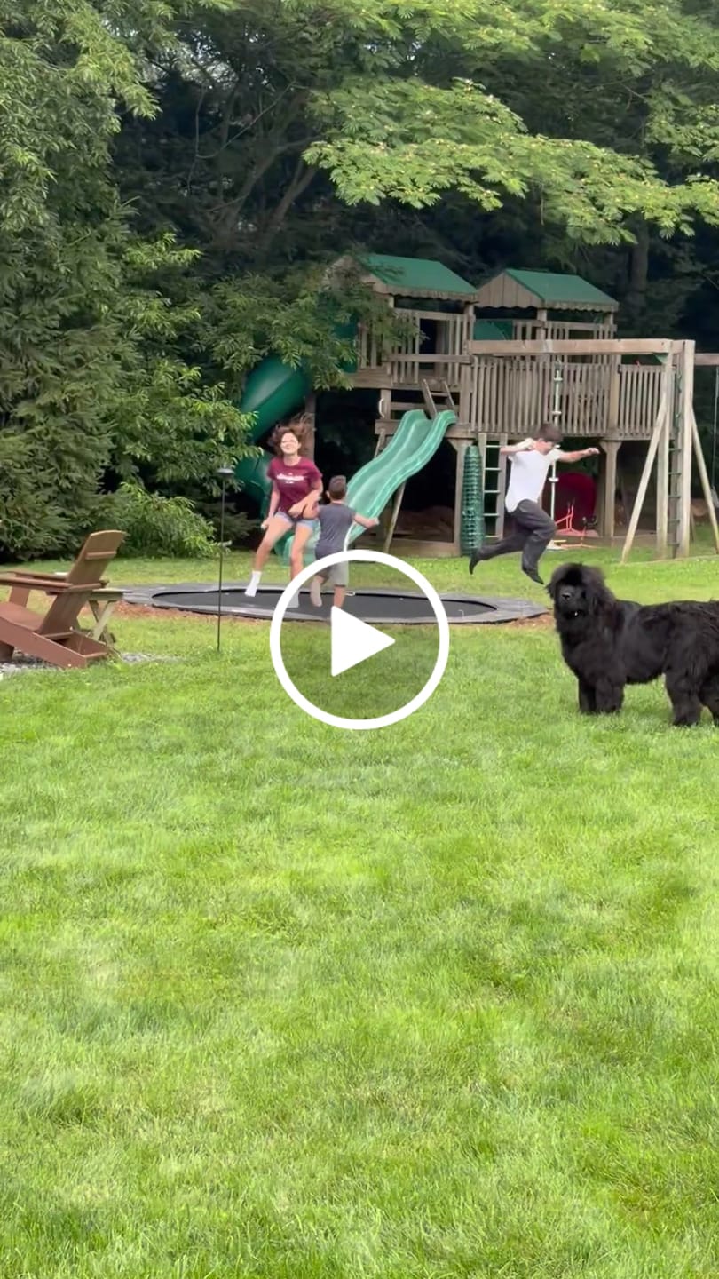 Customer video review of Summer Bundle! 12' Round Pro-Line In-ground Trampoline + LED Lights + Cover