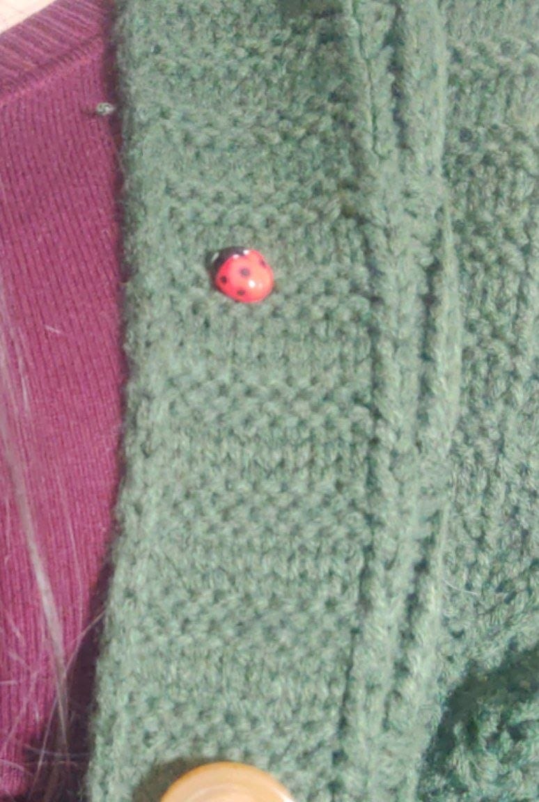 Customer photo review of Ladybug Pins