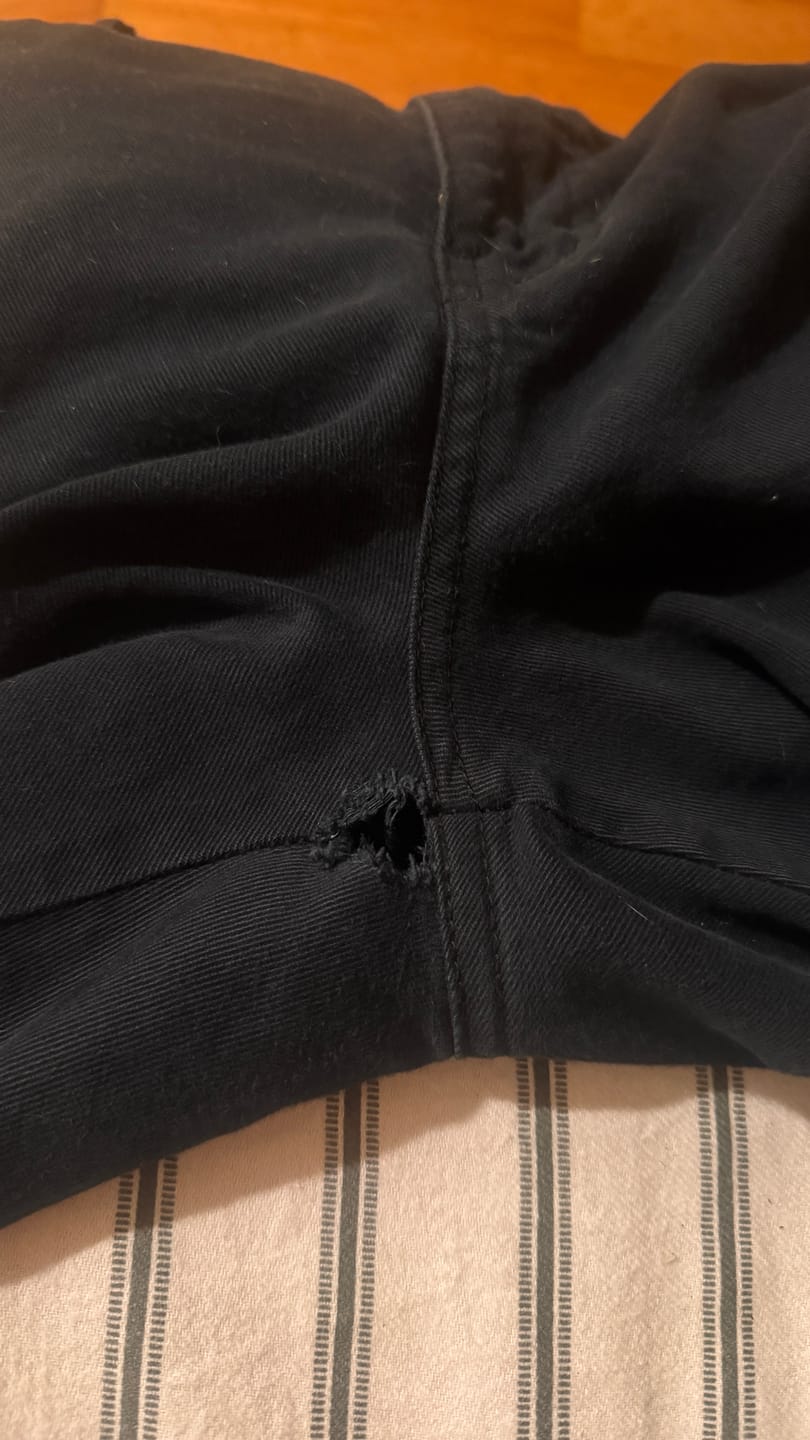 Customer photo review of Plain Pants