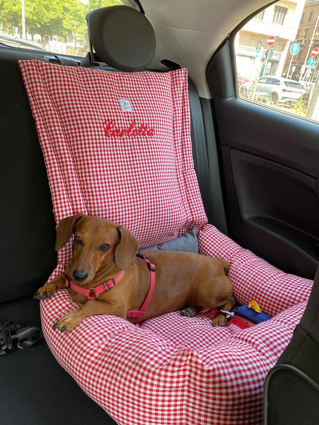 Customer photo review of Seggiolino Auto Cotone Vichy Rosso