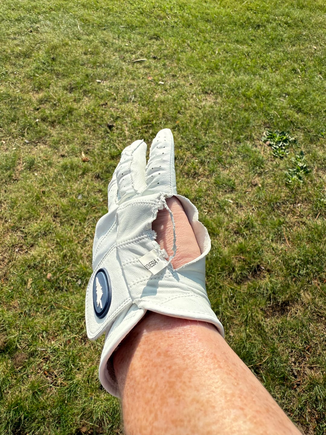 Customer photo review of Summer Pines Gloves