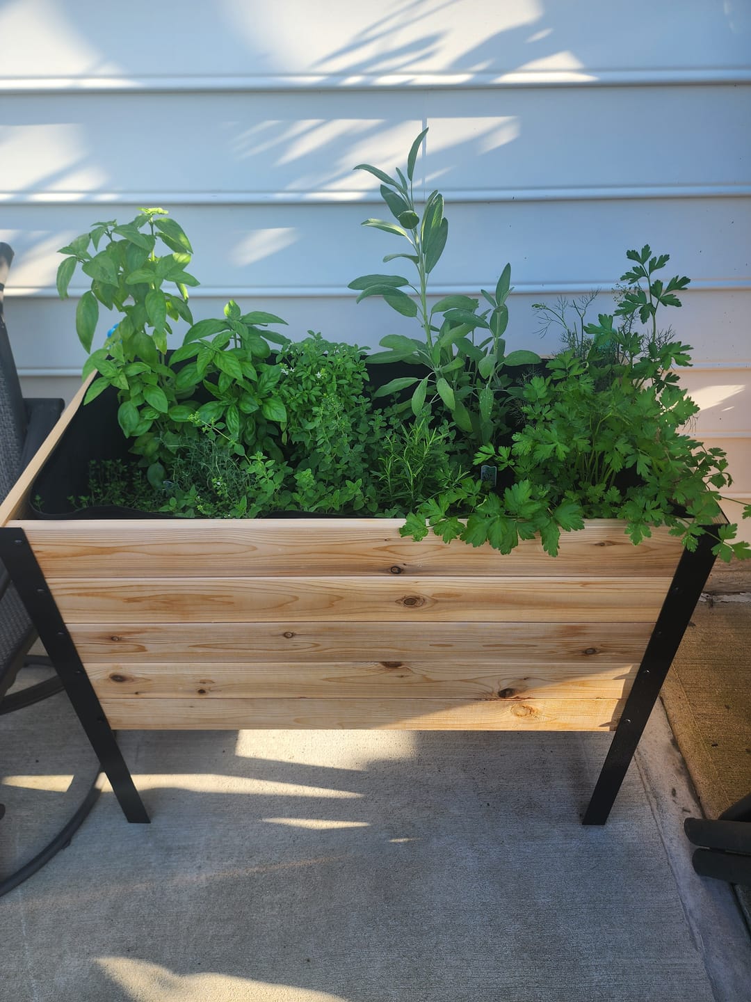 Customer photo review of Greenhouse Cover