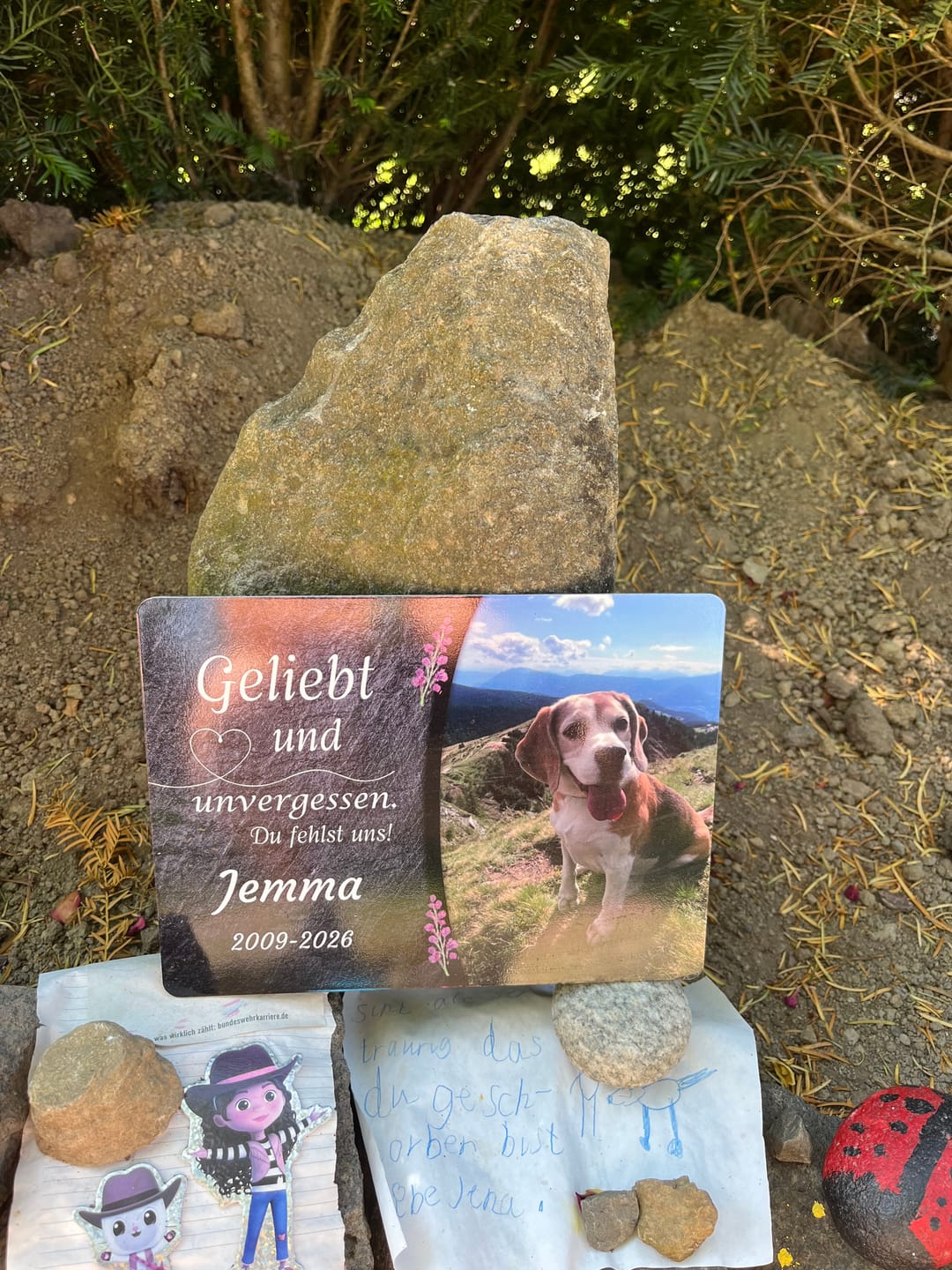 Customer photo review of Hunde Gedenktafel mit Foto & Spruch (UV- &  Wetterfest)
