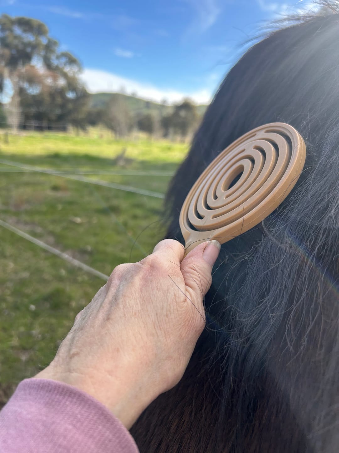 Customer photo review of Queen's Brush - Royal Mane & Tail Brush