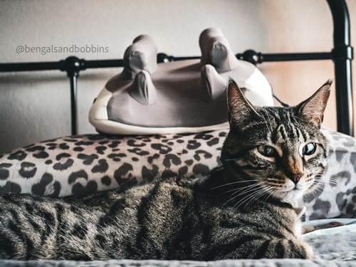 Customer photo review of HizooRelief™ Clinical-Grade Decompression Massager