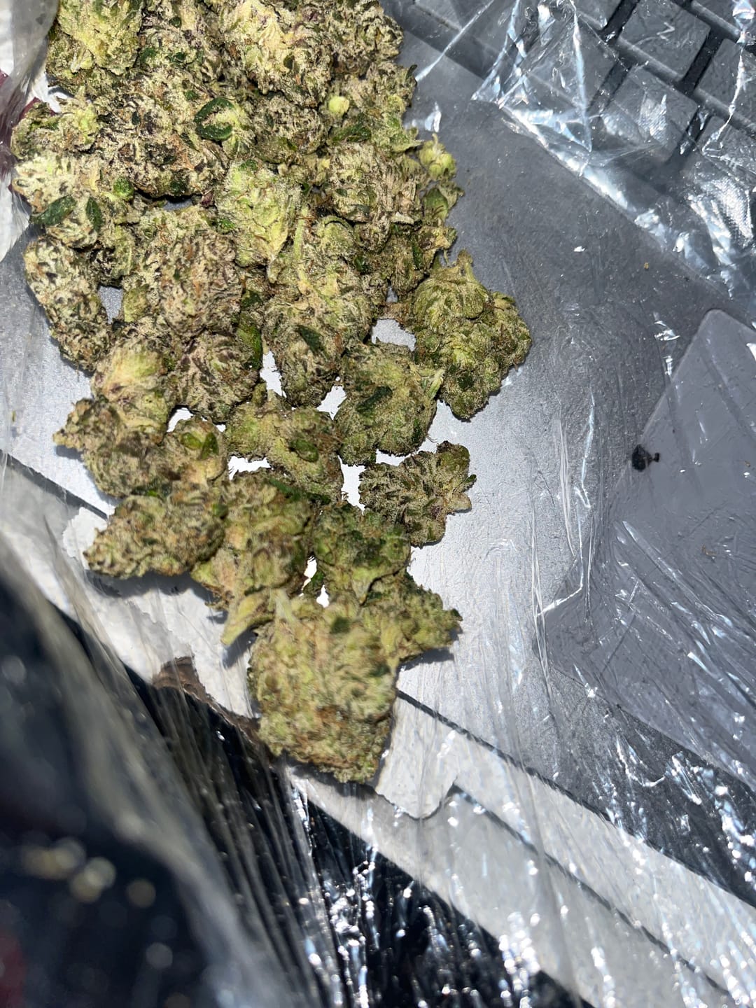 Customer photo review of Boutique Exotics Obama Runtz - Bulk - Hybrid